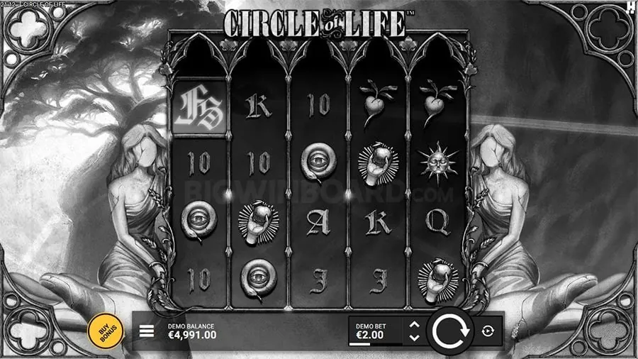 Live Dealer Casino Experience